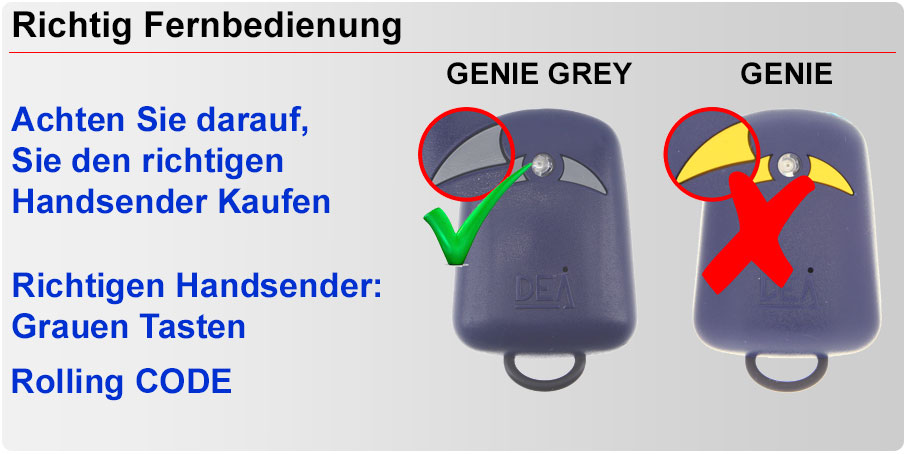 Beschreibung