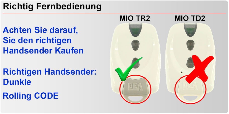 Beschreibung